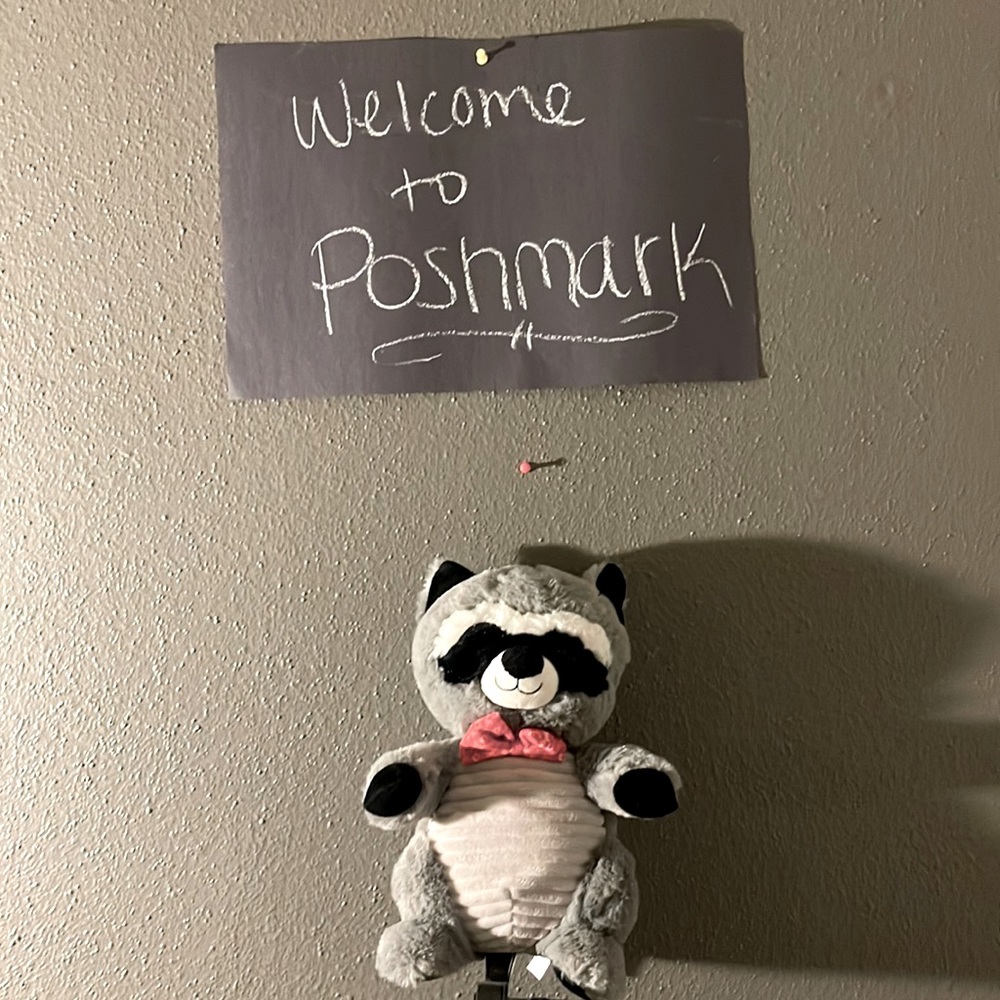 A Valentines Day Hug Fun Stuffed Raccoon for Boys!